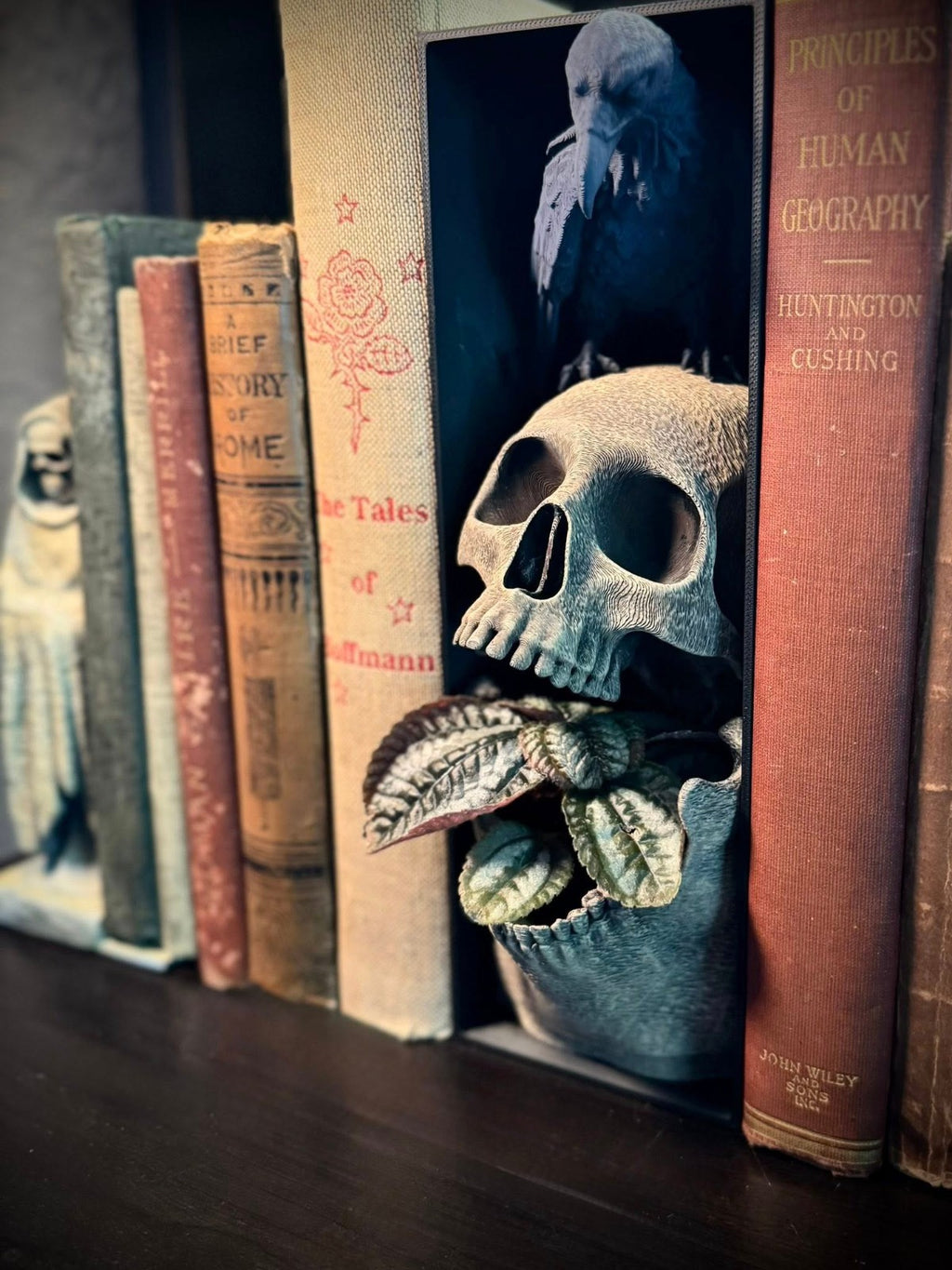 Skull and Raven Booknook and Planter - Spooky Bookshelf Planter (unpainted)