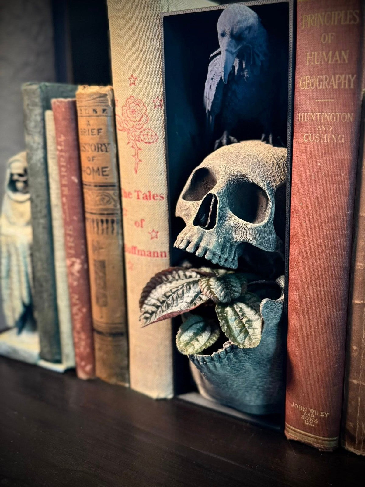 Skull and Raven Booknook and Planter - Spooky Bookshelf Planter (unpainted)
