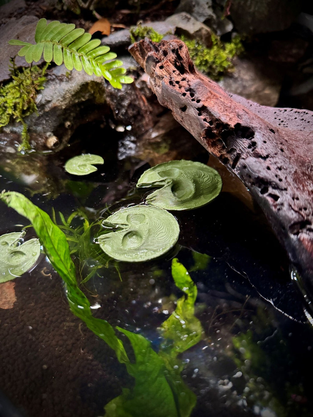 12 Piece 3 Sizes Skull Lily Pad - Fish and Amphibian Tank Decor