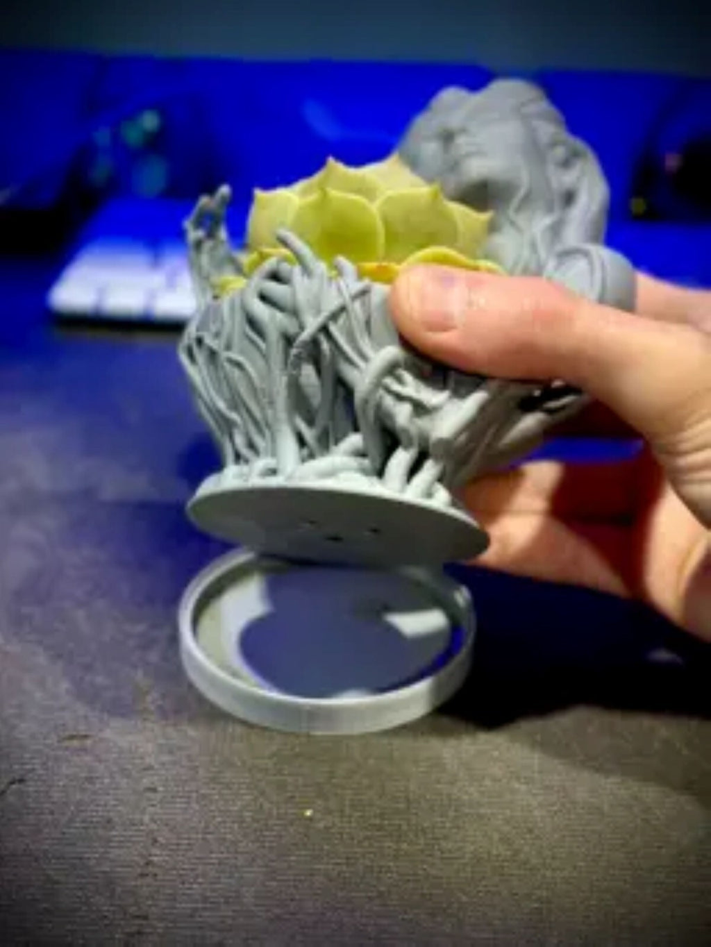 Mother Nature Planter with Drainage and Saucer - Large Lotus Holder