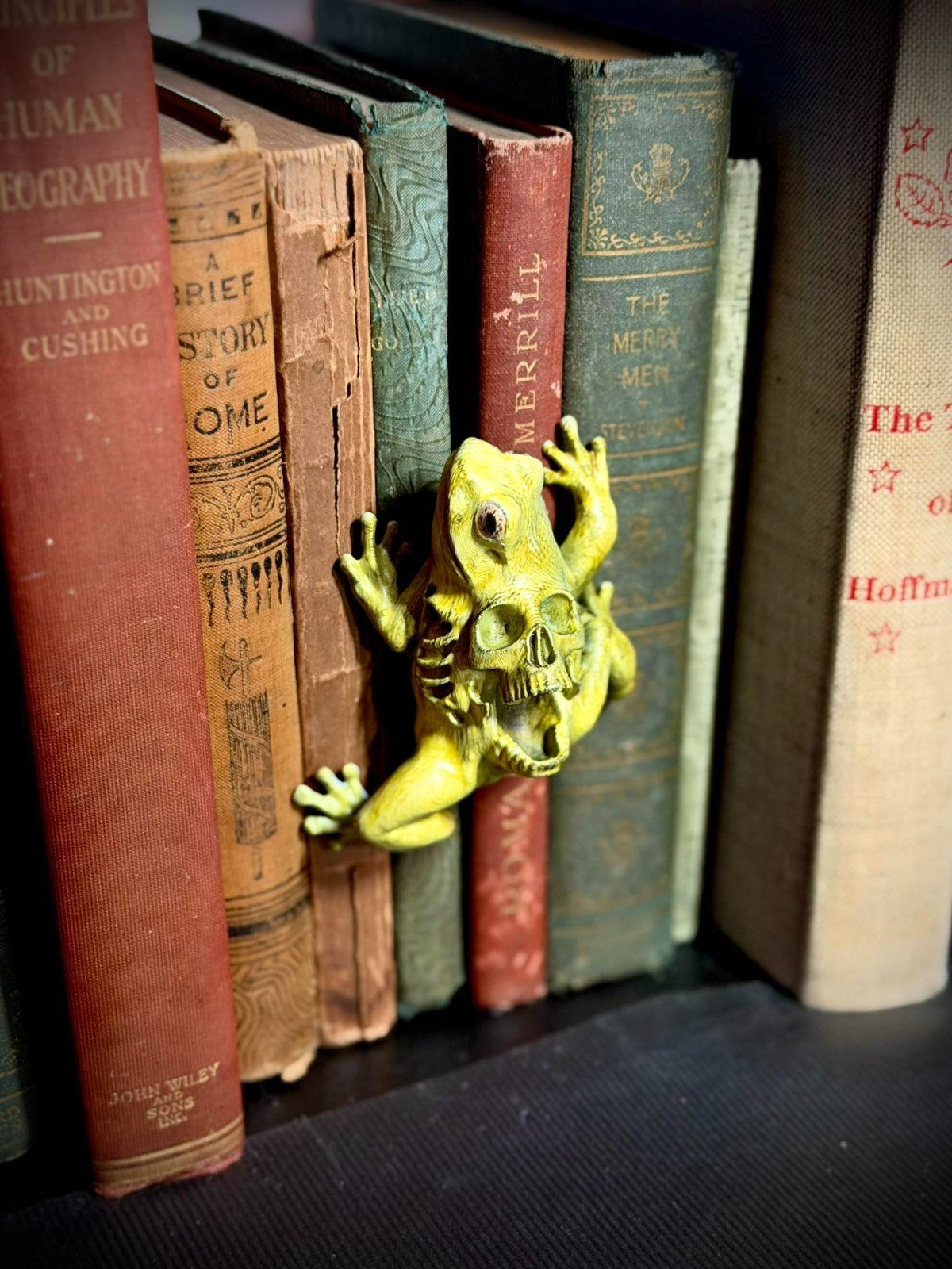 Skull Frog Spine Hugger - Book Decor - Halloween Decor (unpainted)