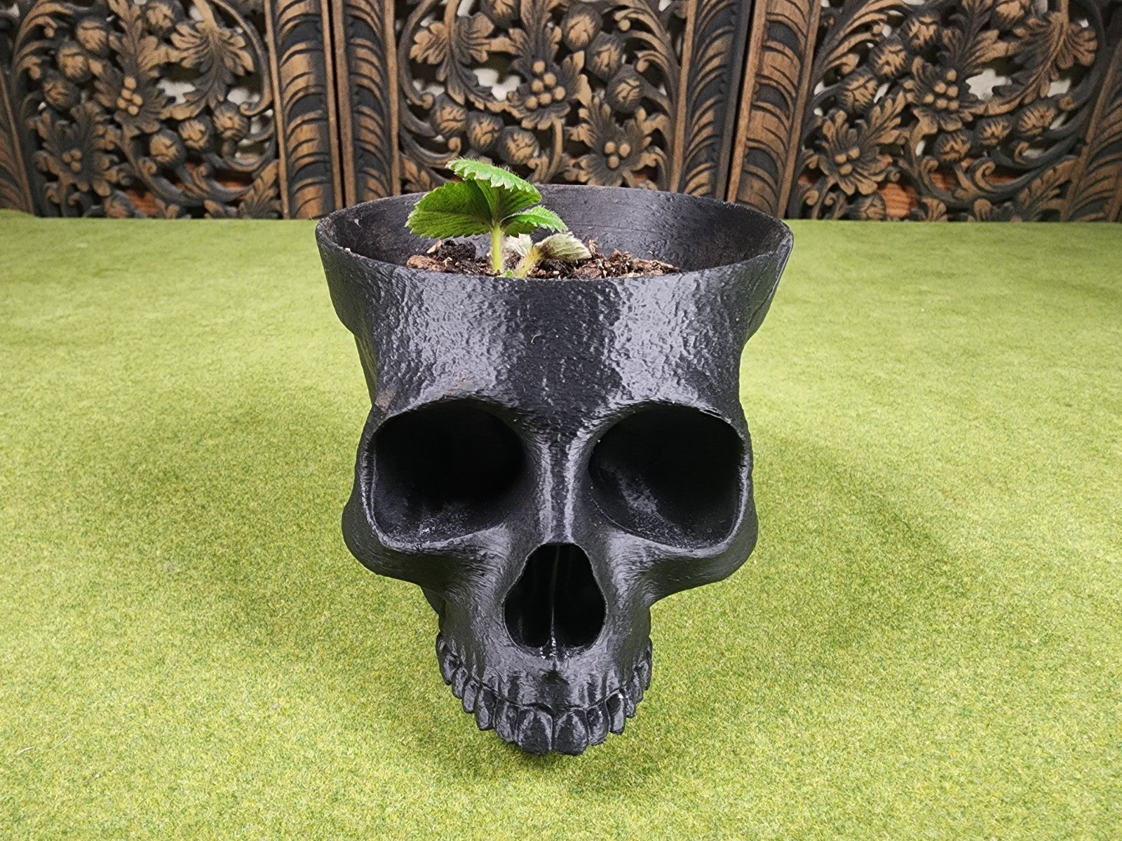 Terracotta Skull Planter Pot - Ornamental Indoor Flower Pot (unpainted)