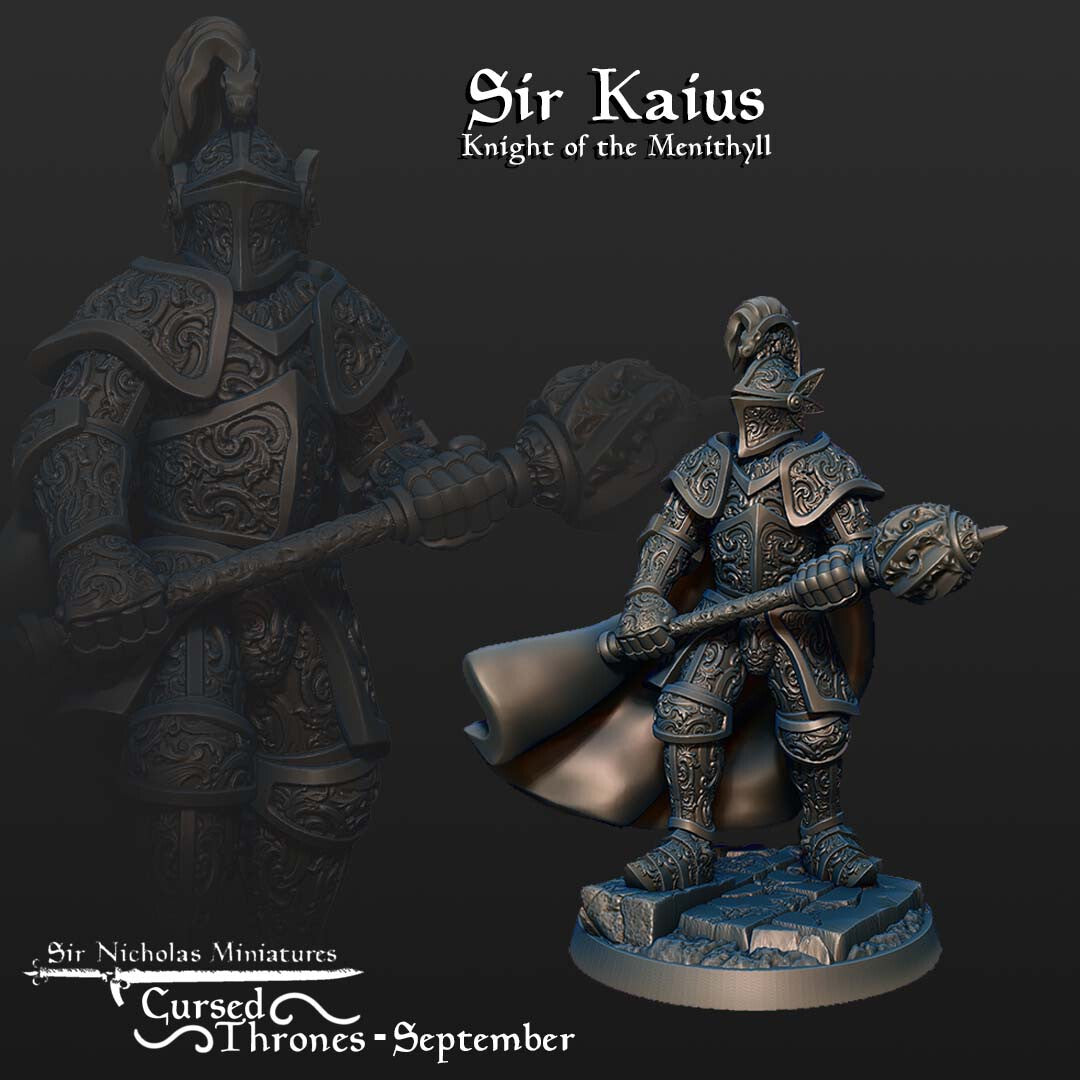 Sir Kaius - Knight of the Menithyll
