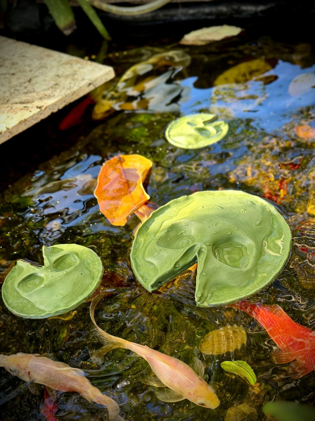 12 Piece 3 Sizes Skull Lily Pad - Fish and Amphibian Tank Decor