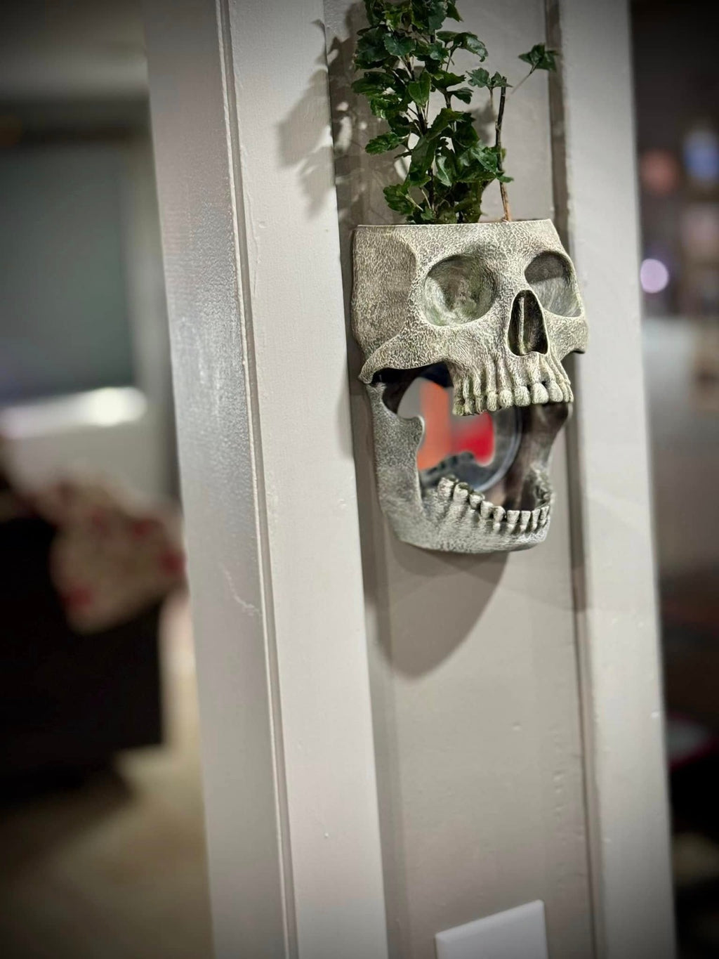 Skull Wall Planter and Mirror - Haunted Home Decor - Skull Mirror (unpainted)