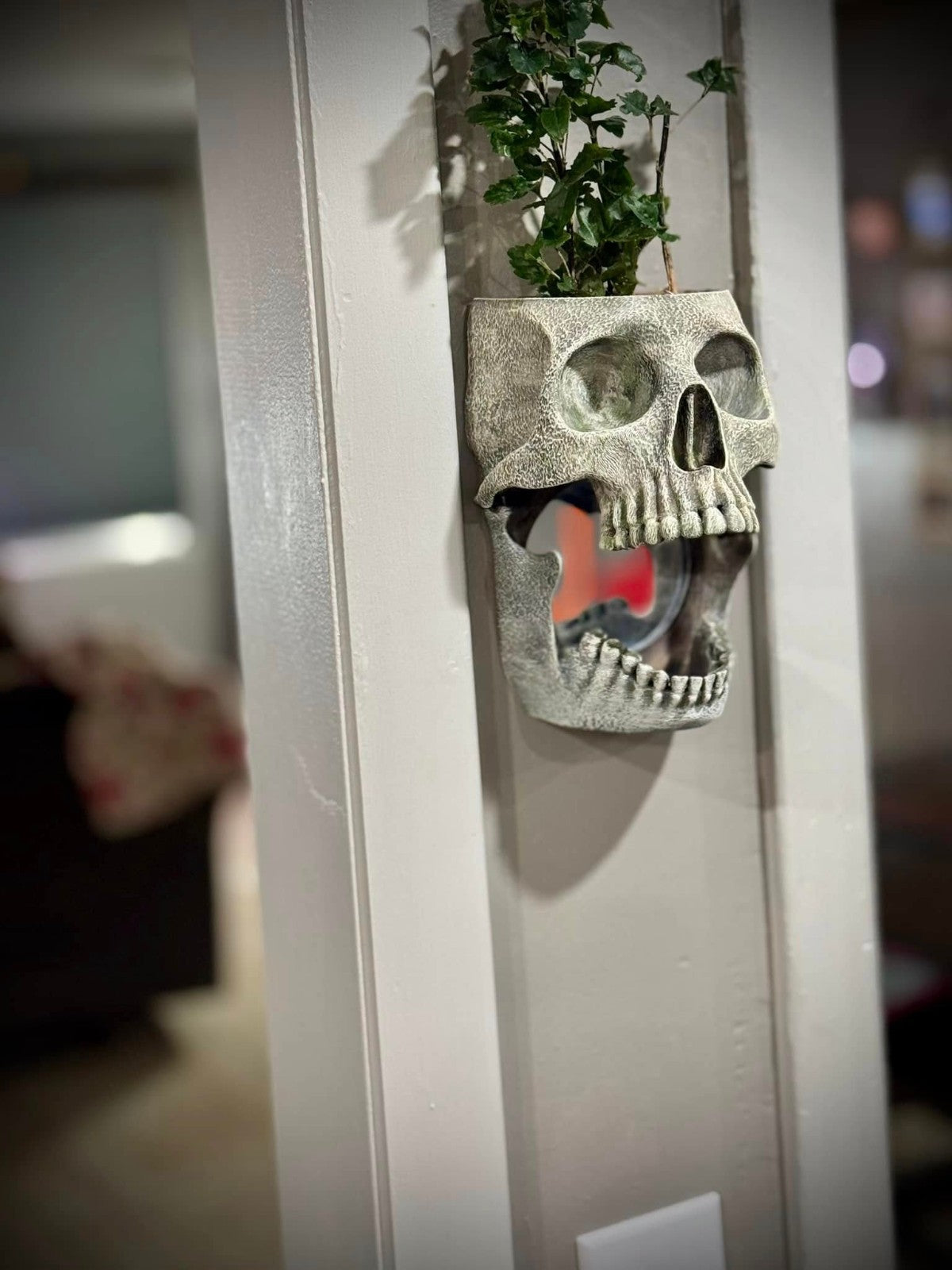 Skull Wall Planter and Mirror - Haunted Home Decor - Skull Mirror (unpainted)