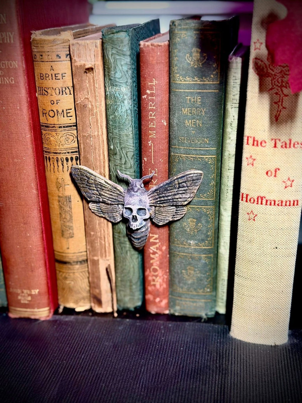 Skull Moth Spine Hugger - Magnet - Gothic Decor (unpainted)