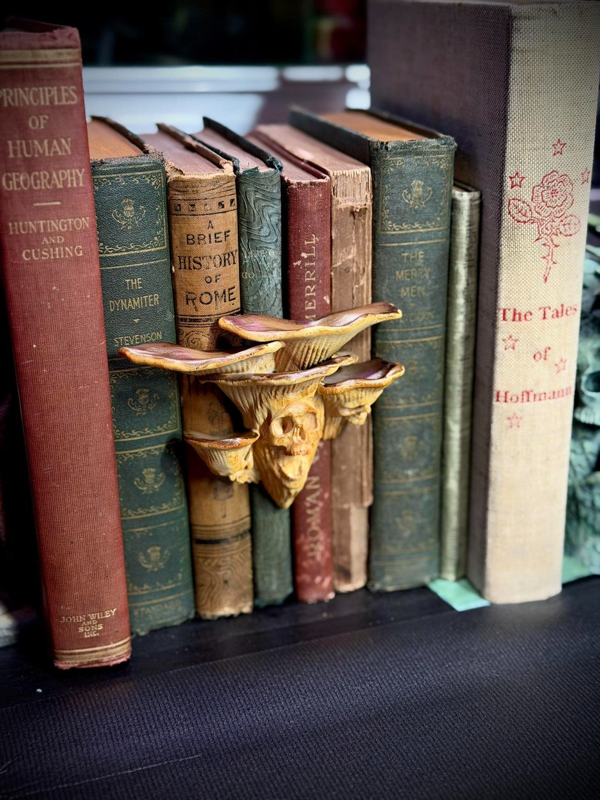 Oyster Skull Mushroom Spine Hugger - Book - Magnet - Gardening Decor (unpainted)