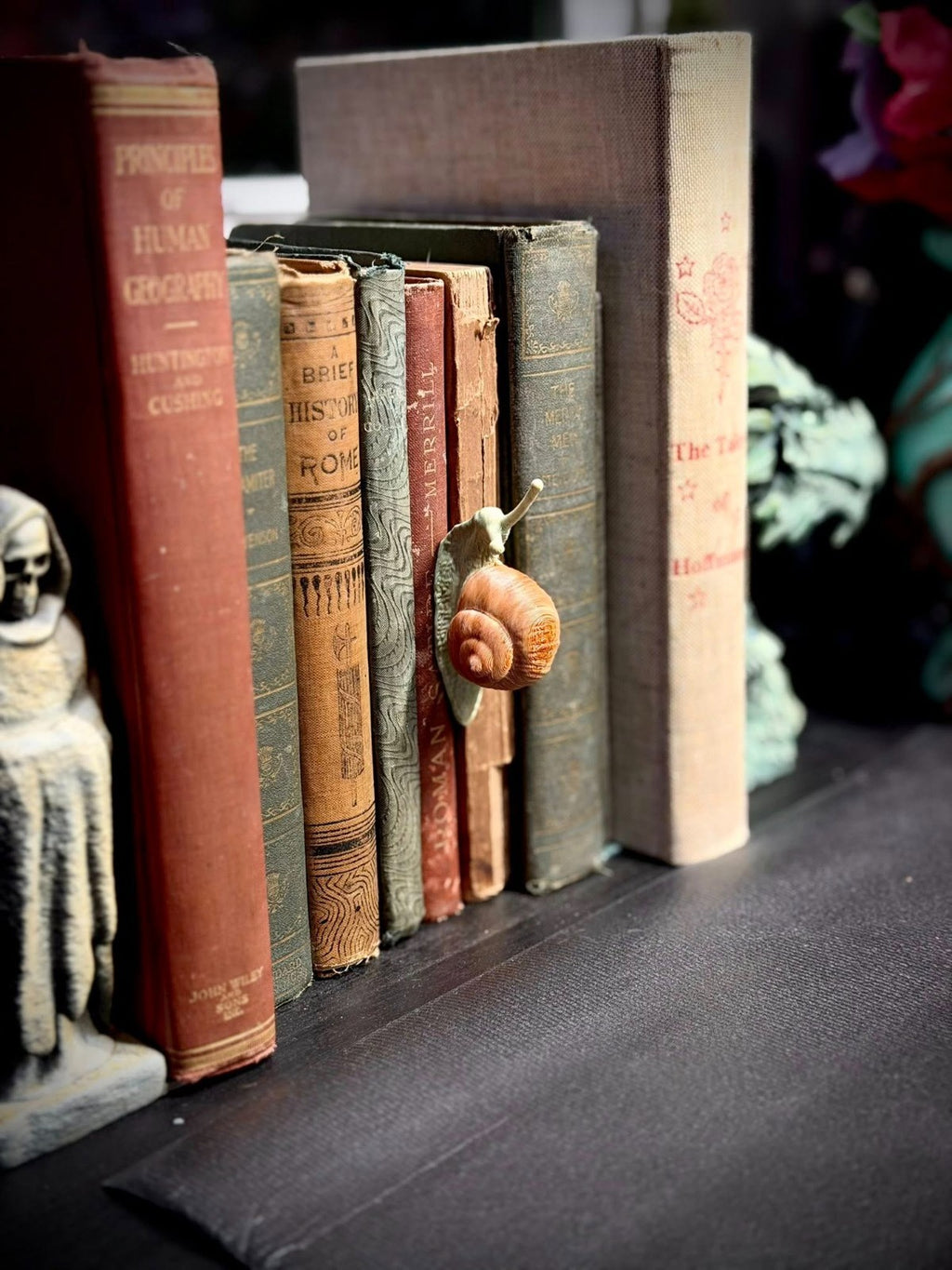 Snail Spine Hugger - Book Decor - Magnet - Gardening Decor (unpainted)