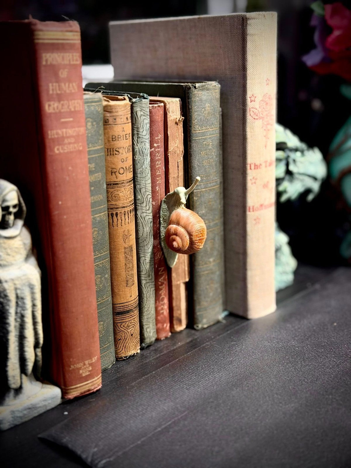 Snail Spine Hugger - Book Decor - Magnet - Gardening Decor (unpainted)