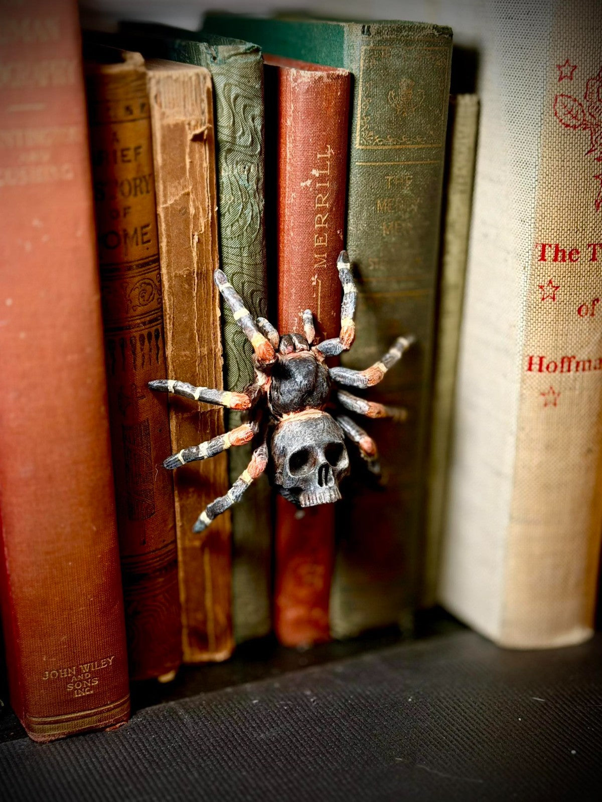 Skull Tarantula Spine Hugger - Book Decor  - Magnet - DnD Gift (unpainted)
