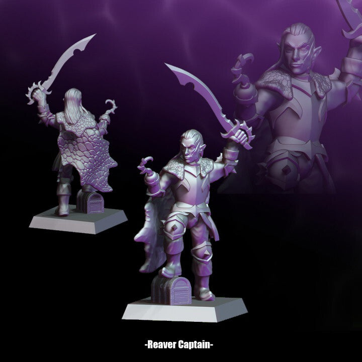 Reaver Captain - Male Elf Pirate