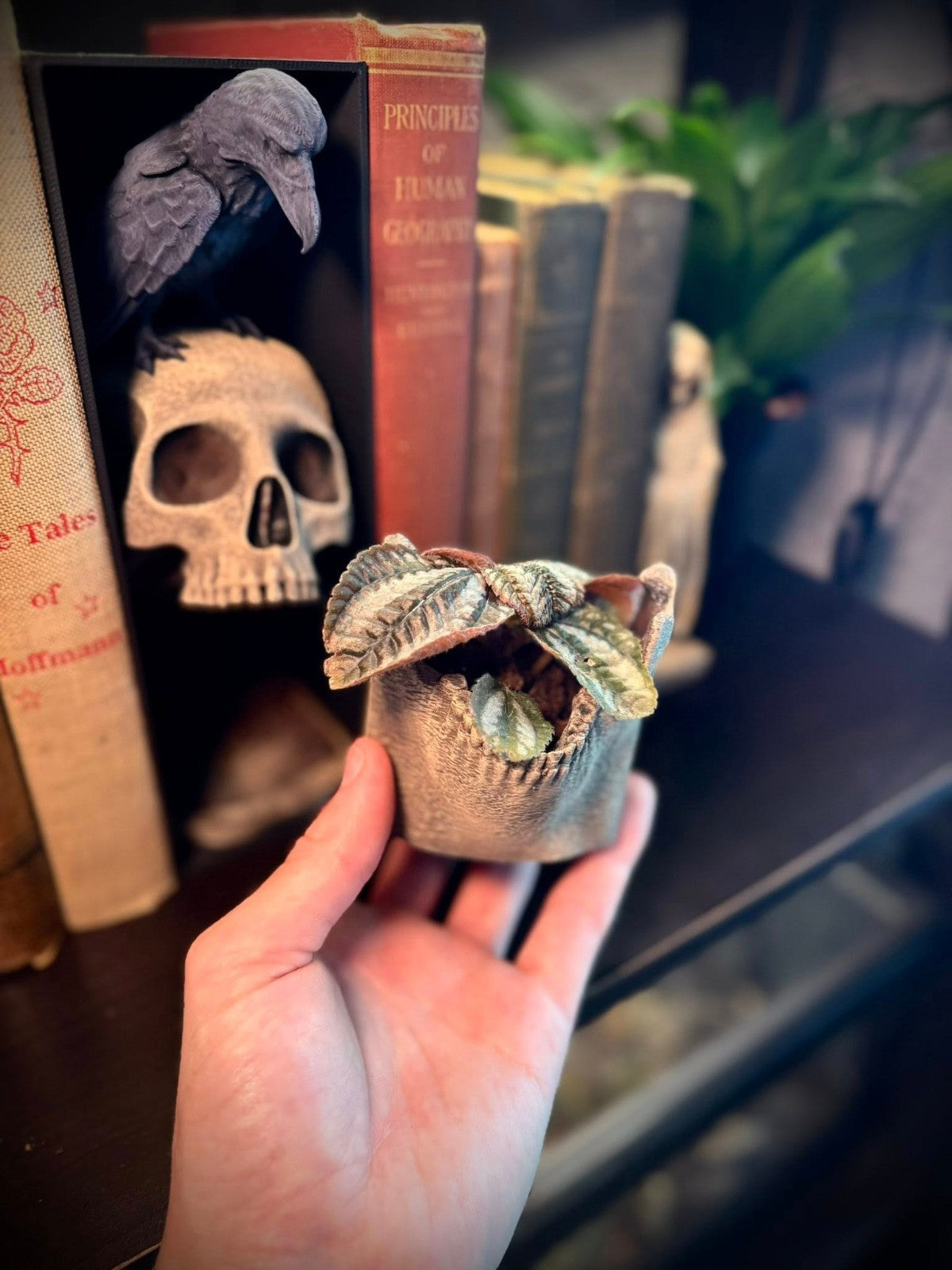 Skull and Raven Booknook and Planter - Spooky Bookshelf Planter (unpainted)