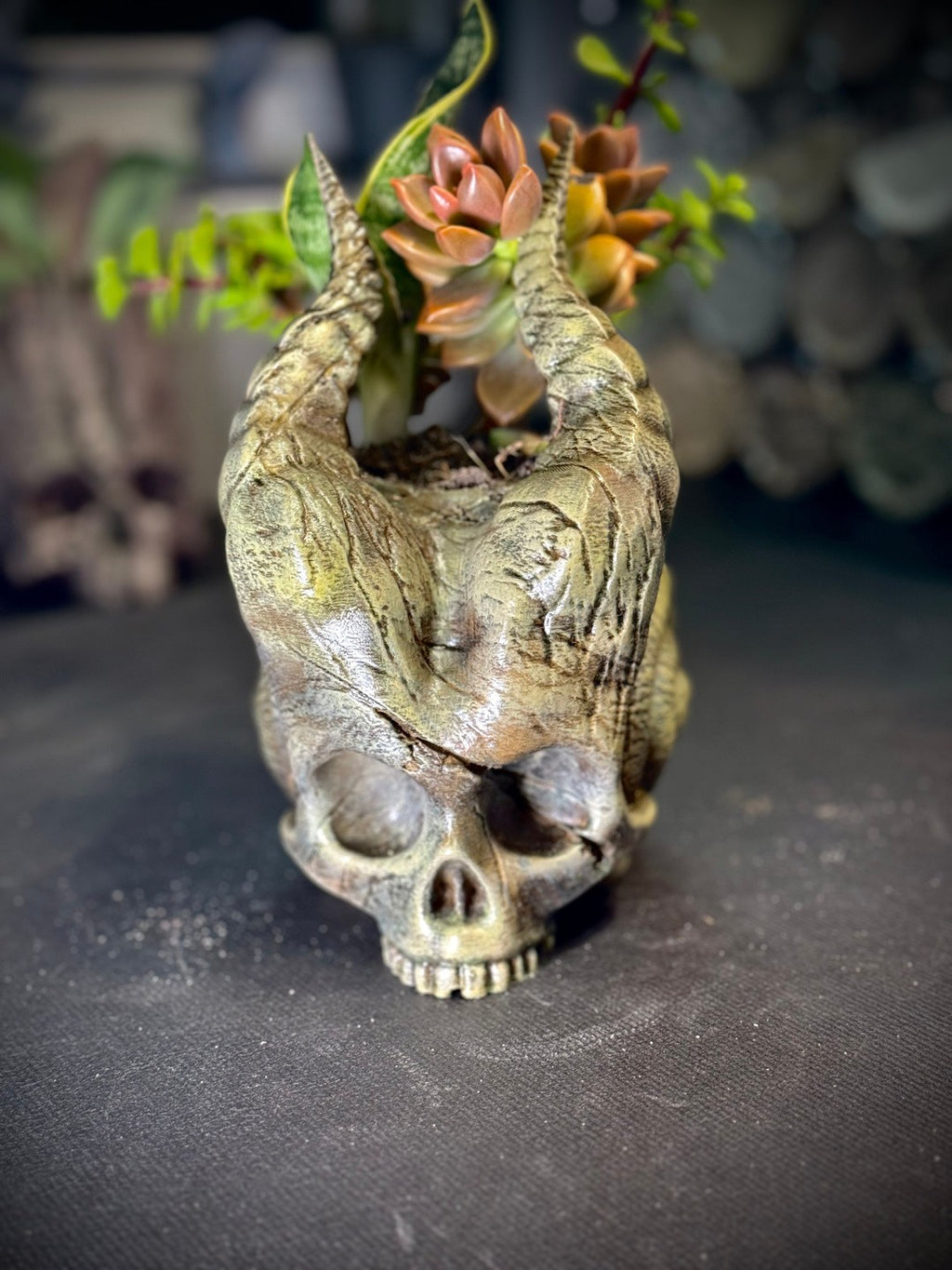 Skull Of The Demon Snail Planter  - Gothic Indoor Planter Decor (unpainted)