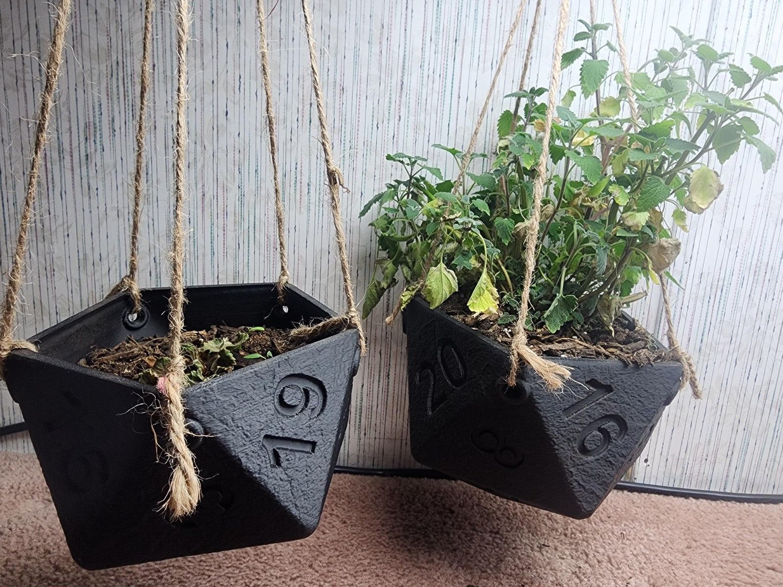 Hanging D20 Planter - DnD Decorative Home Planter (unpainted)