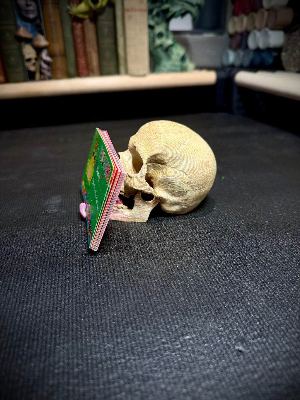 Skull Card & Phone Holder  - Fantasy Decor (unpainted)