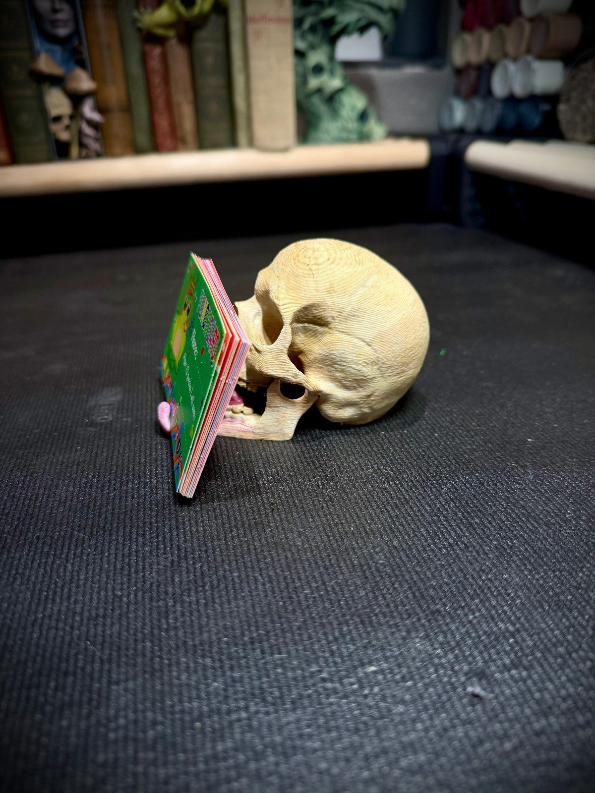 Skull Card & Phone Holder  - Fantasy Decor (unpainted)