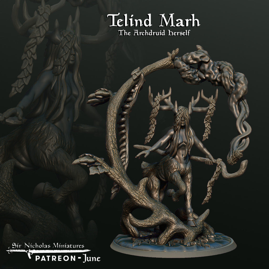 Telind Marh - The Archdruid Herself - Grove Keeper