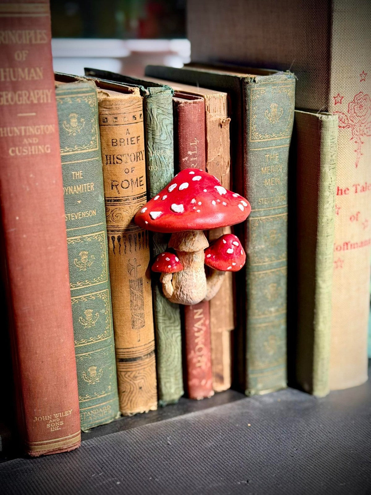 Mushroom Spine Hugger - Book Decor - Magnet - Gardening Decor (unpainted)
