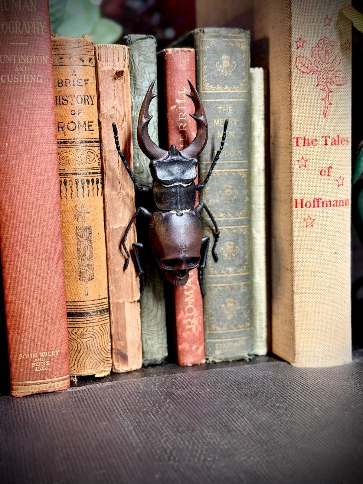 Skull Stag Beetle Spine Hugger - Gothic Decor - Gardening Decor (unpainted)