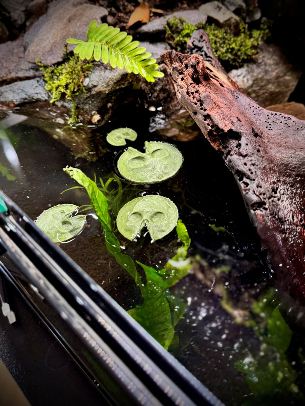 3 Pieces / Sizes Skull Lily Pad - Fish and Amphibian Tank Decor (unpainted)
