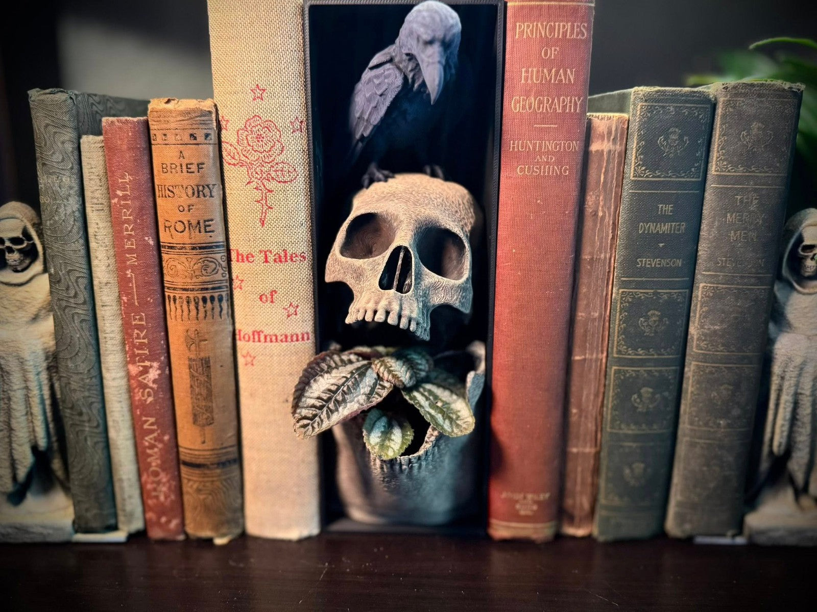 Skull and Raven Booknook and Planter - Spooky Bookshelf Planter (unpainted)