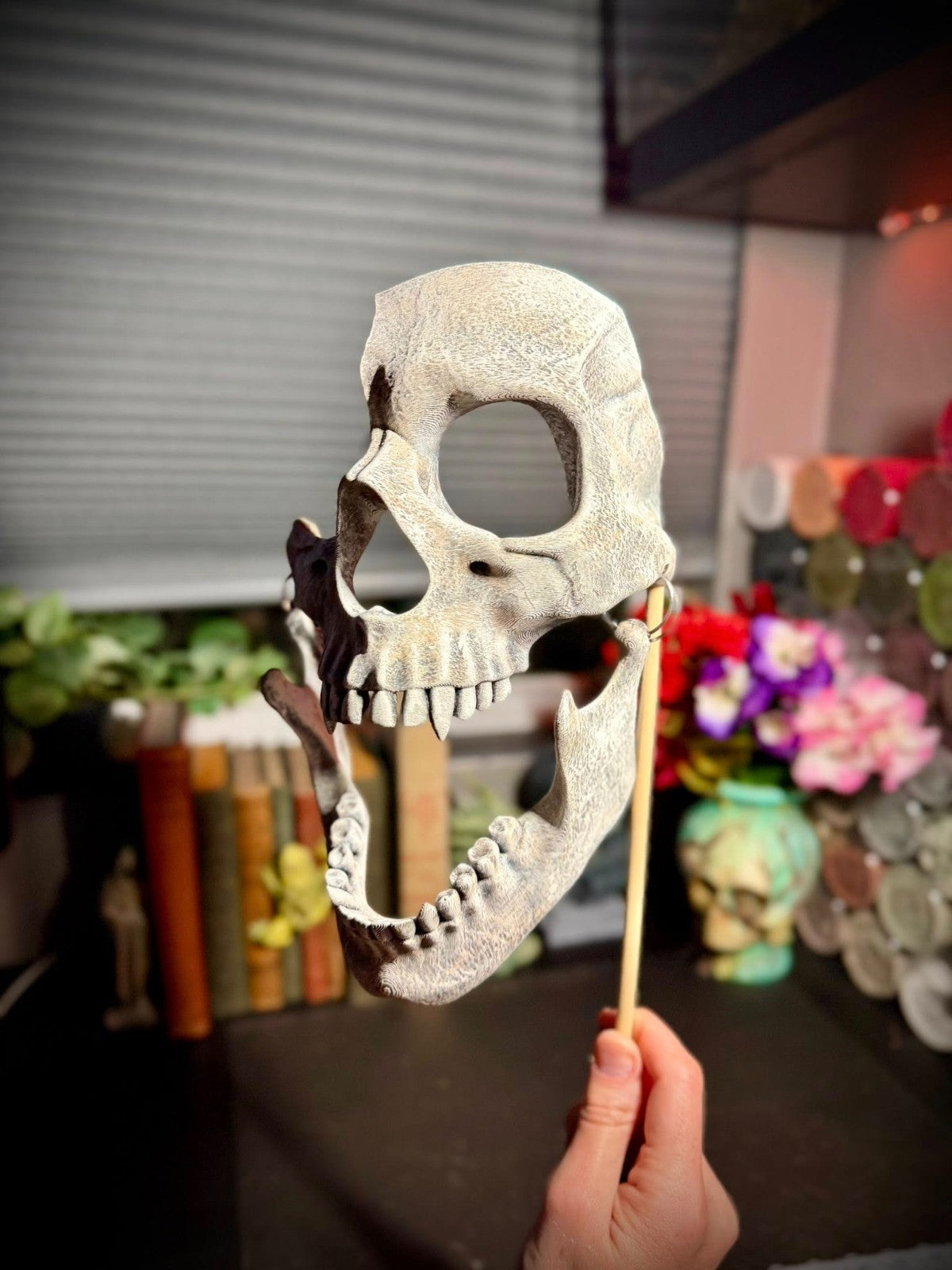Vampire skull mask - Scary Skull Mask - Halloween Mask -Cosplay (unpainted)