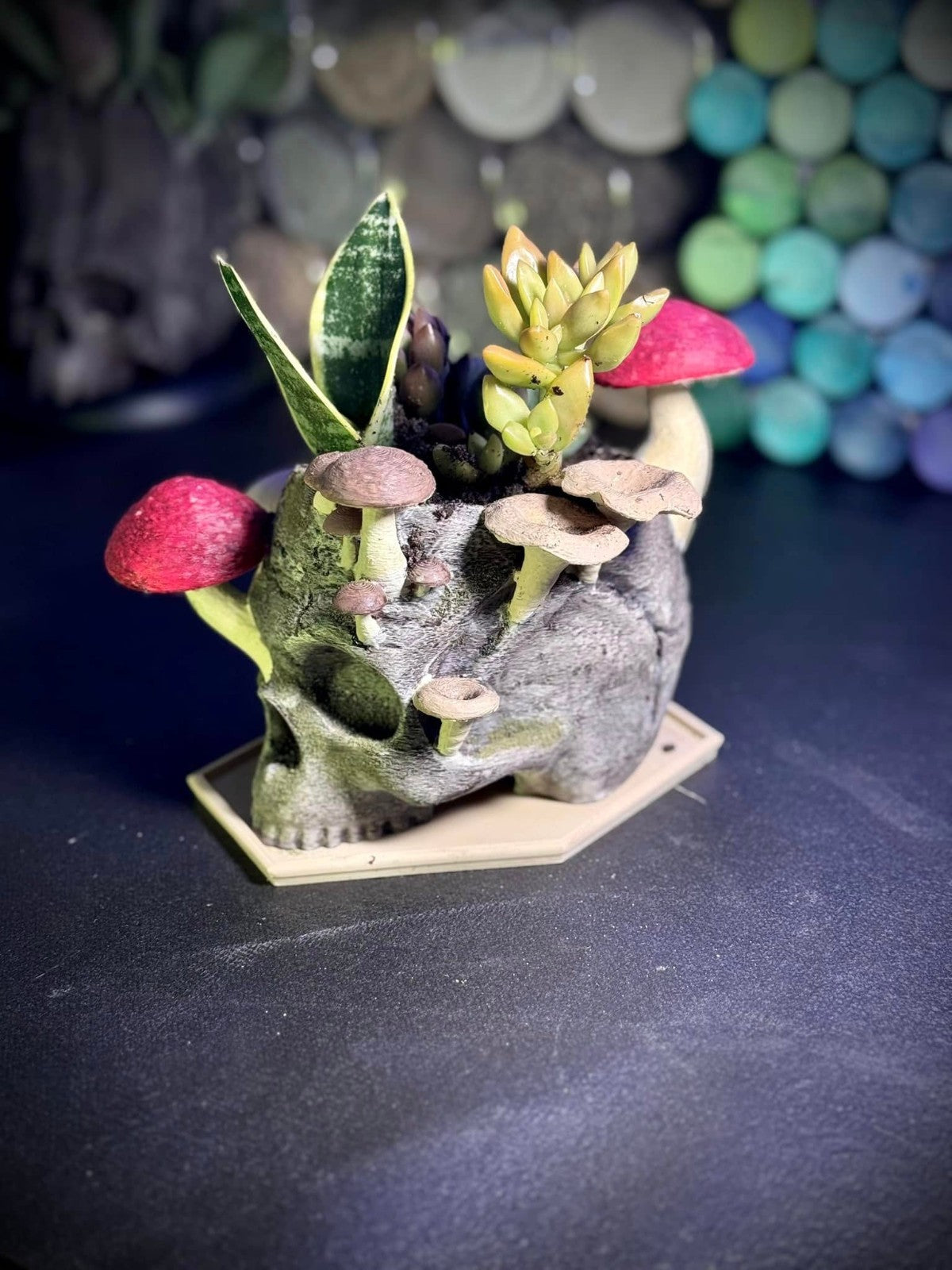 Skull Planter - Magical Fungus Indoor Pot - Mushroom Forest Planter (unpainted)