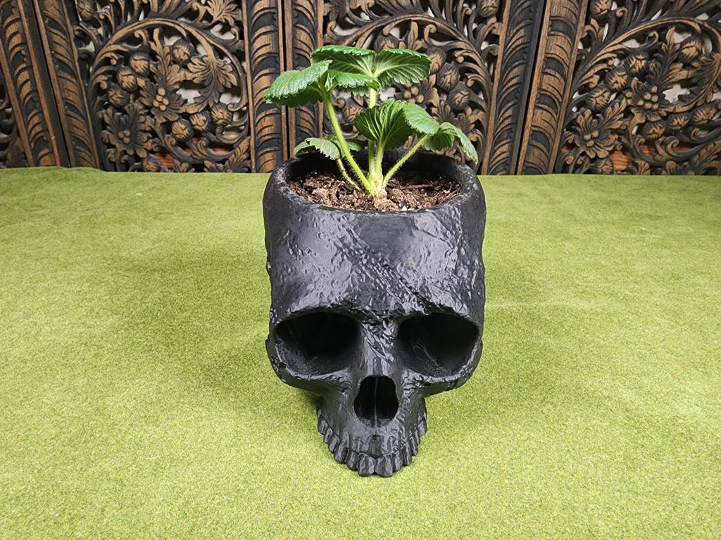 3D Printed Stone Skull Garden Planter - Stone Carved Skull Planter (unpainted)