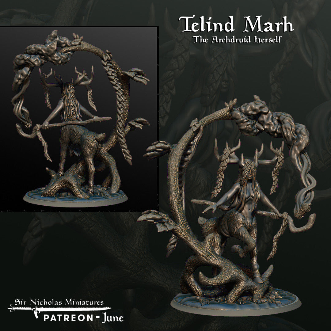 Telind Marh - The Archdruid Herself - Grove Keeper