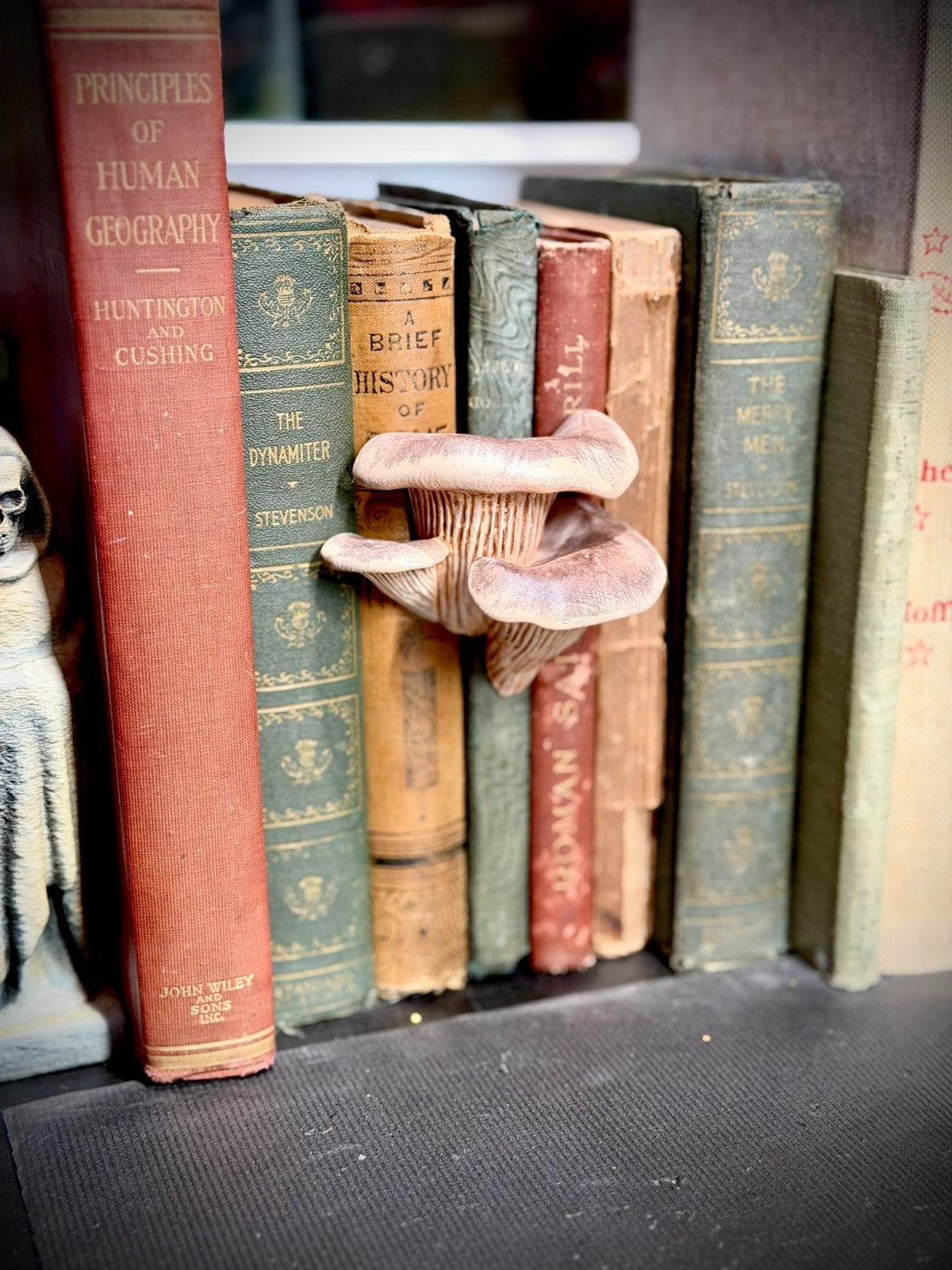 Oyster Mushroom Spine Hugger - Book Decor - Magnet - Gardening Decor (unpainted)