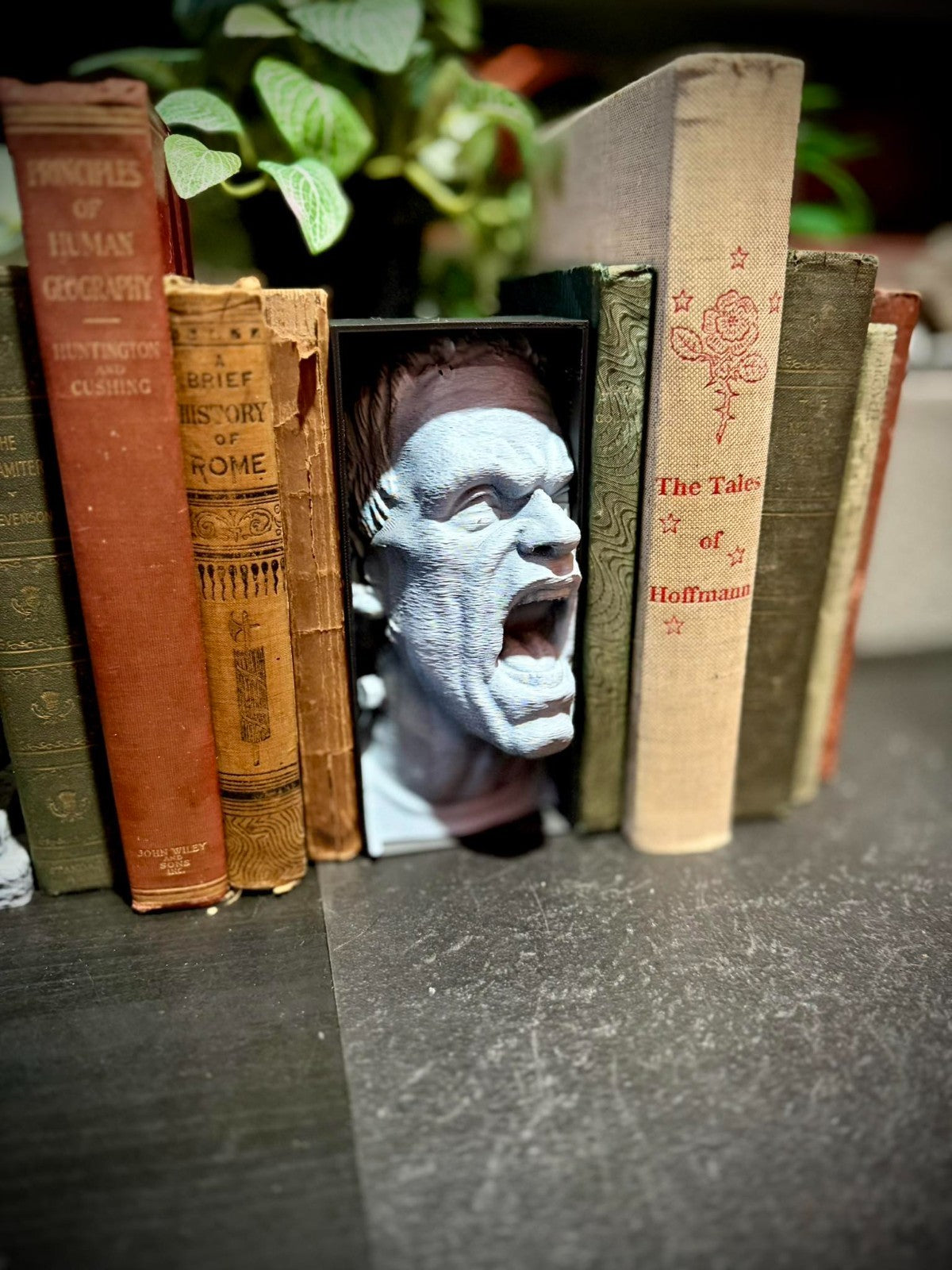 Frankenstein Book Nook  - Halloween Decor (unpainted)