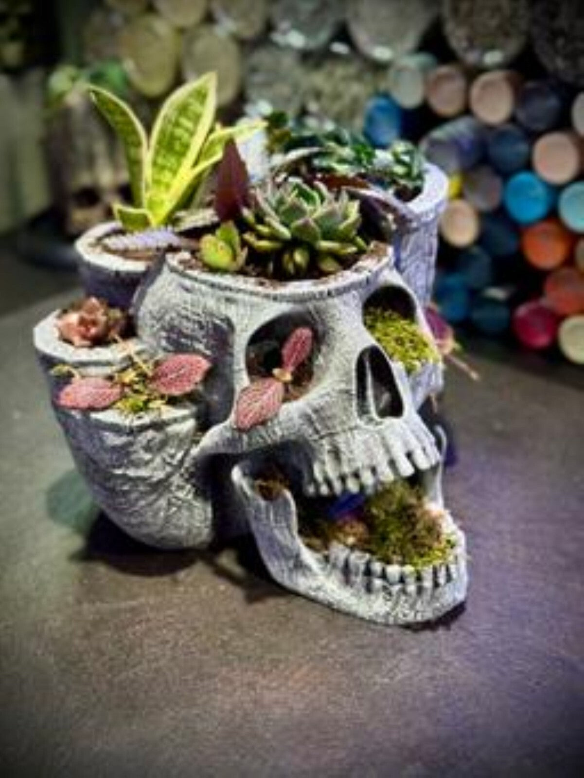 Skull Garden Planter with Drip Tray - Gothic Foliage Containter  - Floral Oddity