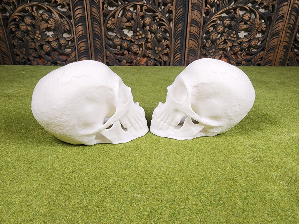Split Skull Bookends - Book Shelf Decorations - Book Holders (unpainted)