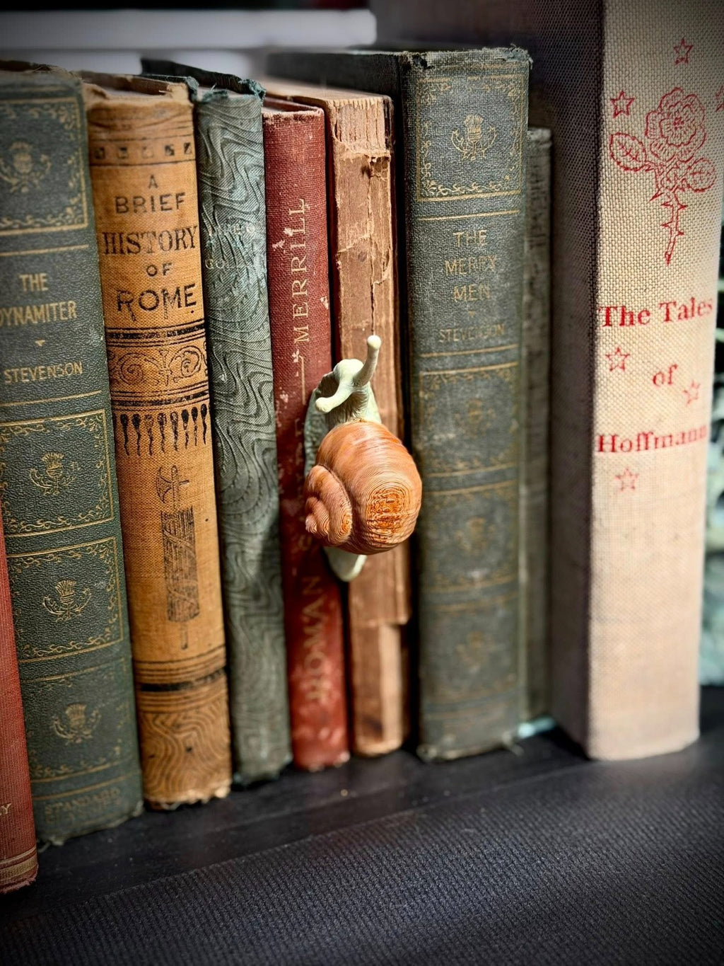 Snail Spine Hugger - Book Decor - Magnet - Gardening Decor (unpainted)