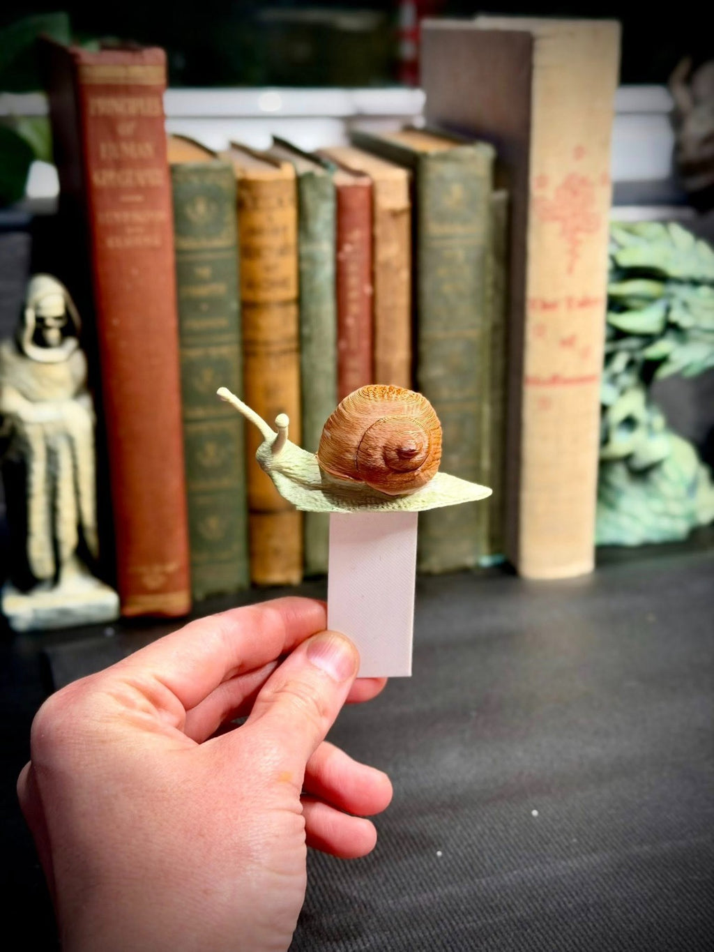 Snail Spine Hugger - Book Decor - Magnet - Gardening Decor (unpainted)