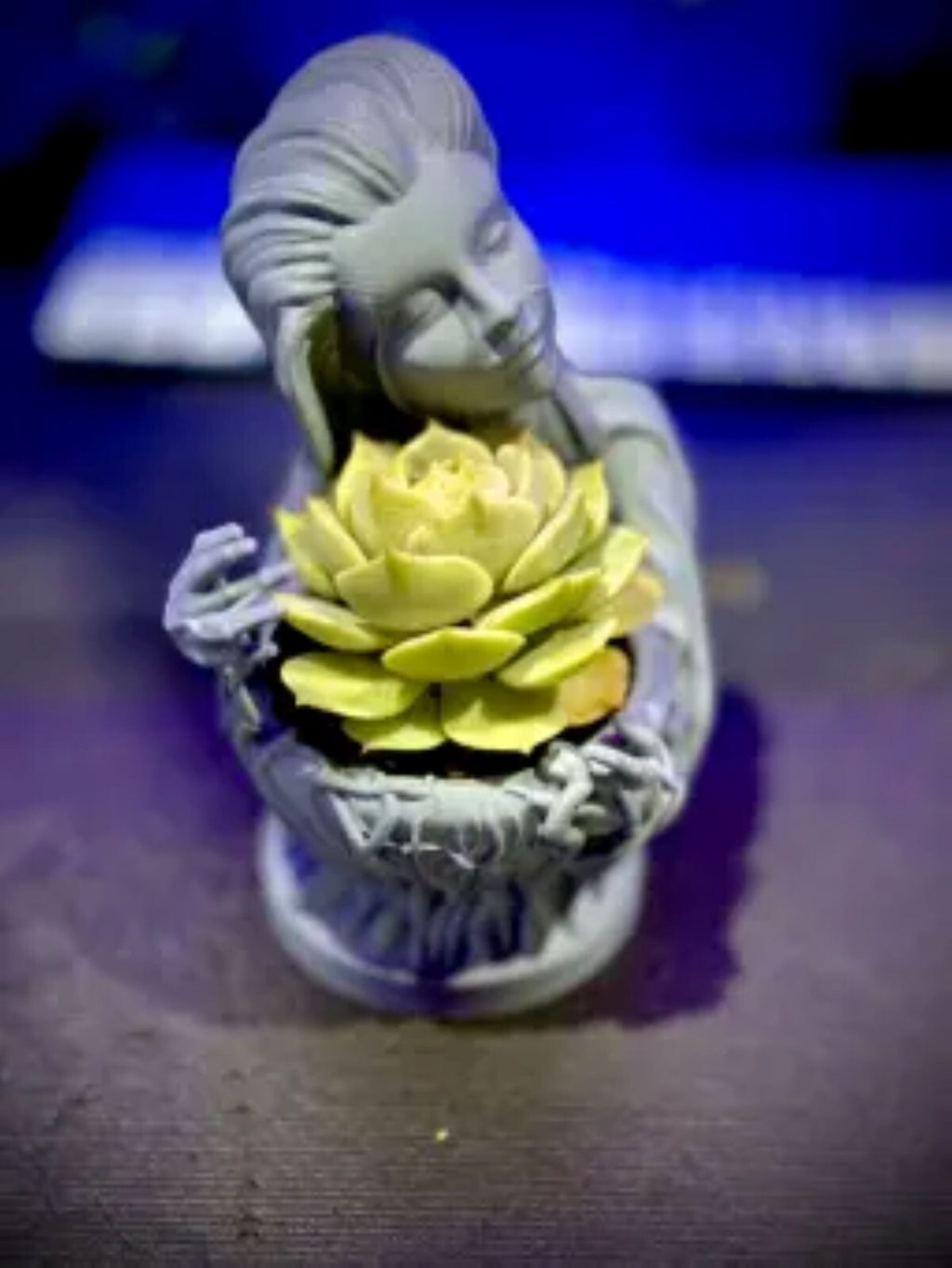 Mother Nature Planter with Drainage and Saucer - Large Lotus Holder