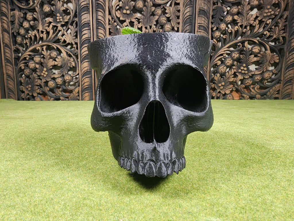 Terracotta Skull Planter Pot - Ornamental Indoor Flower Pot (unpainted)
