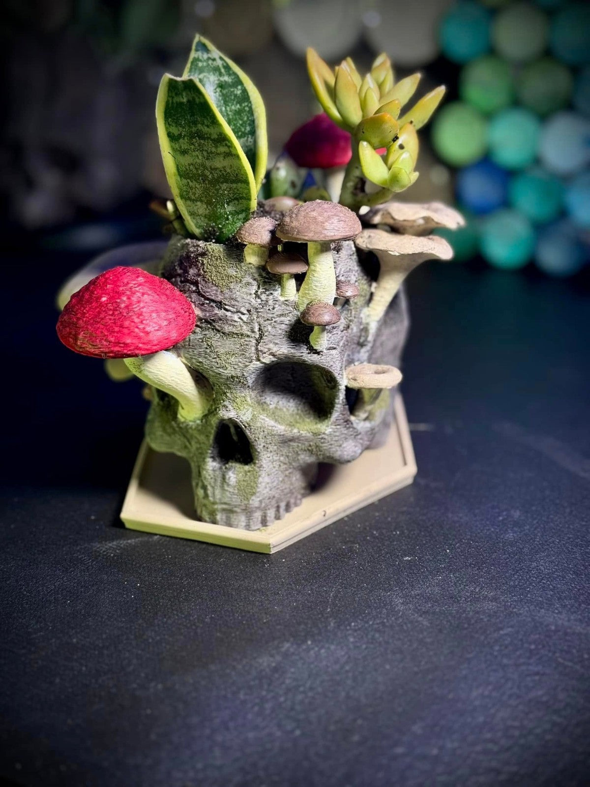 Skull Planter - Magical Fungus Indoor Pot - Mushroom Forest Planter (unpainted)