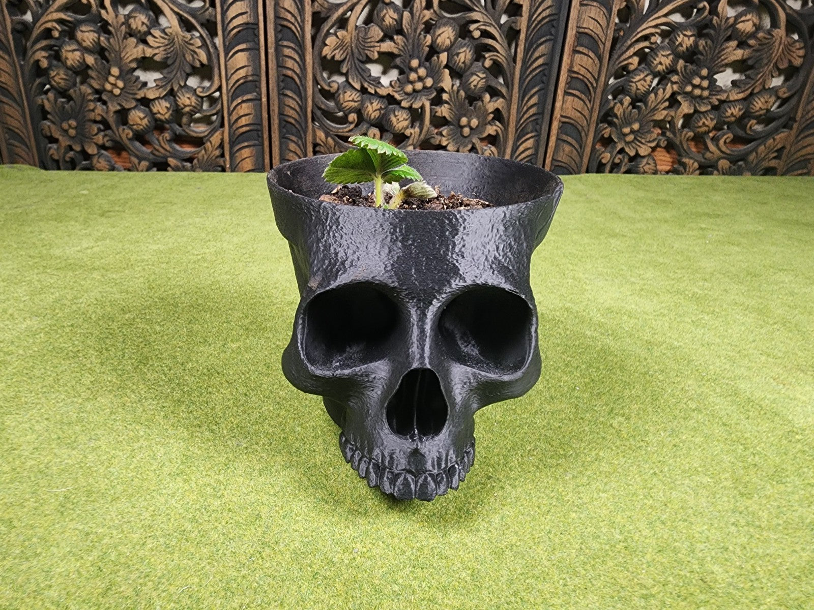 Terracotta Skull Planter Pot - Ornamental Indoor Flower Pot (unpainted)