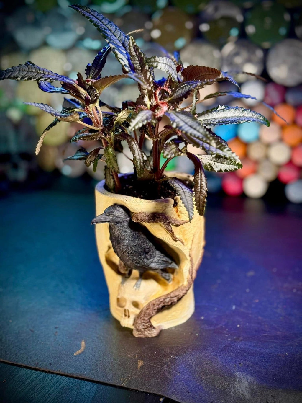 The Raven's Skull Planter - Edgar Allen Poe's Favorite Planter (unpainted)
