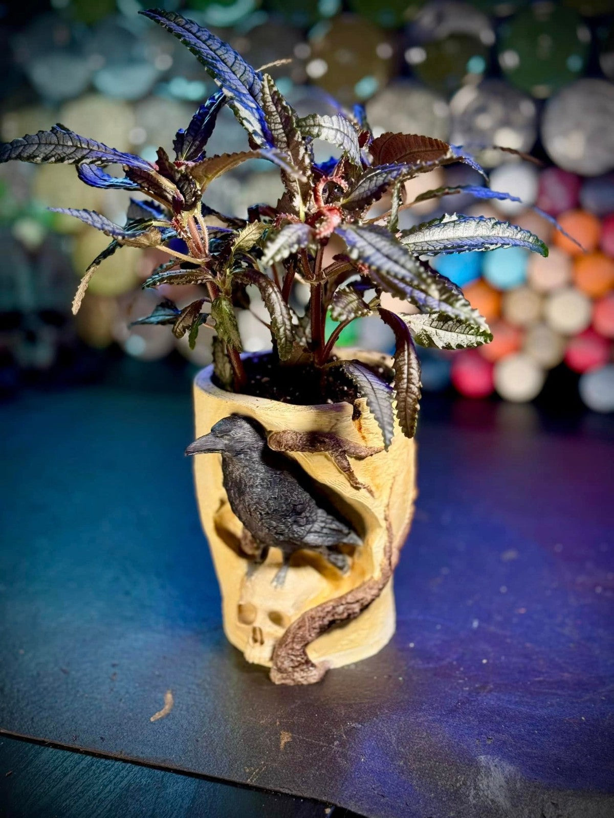 The Raven's Skull Planter - Edgar Allen Poe's Favorite Planter (unpainted)