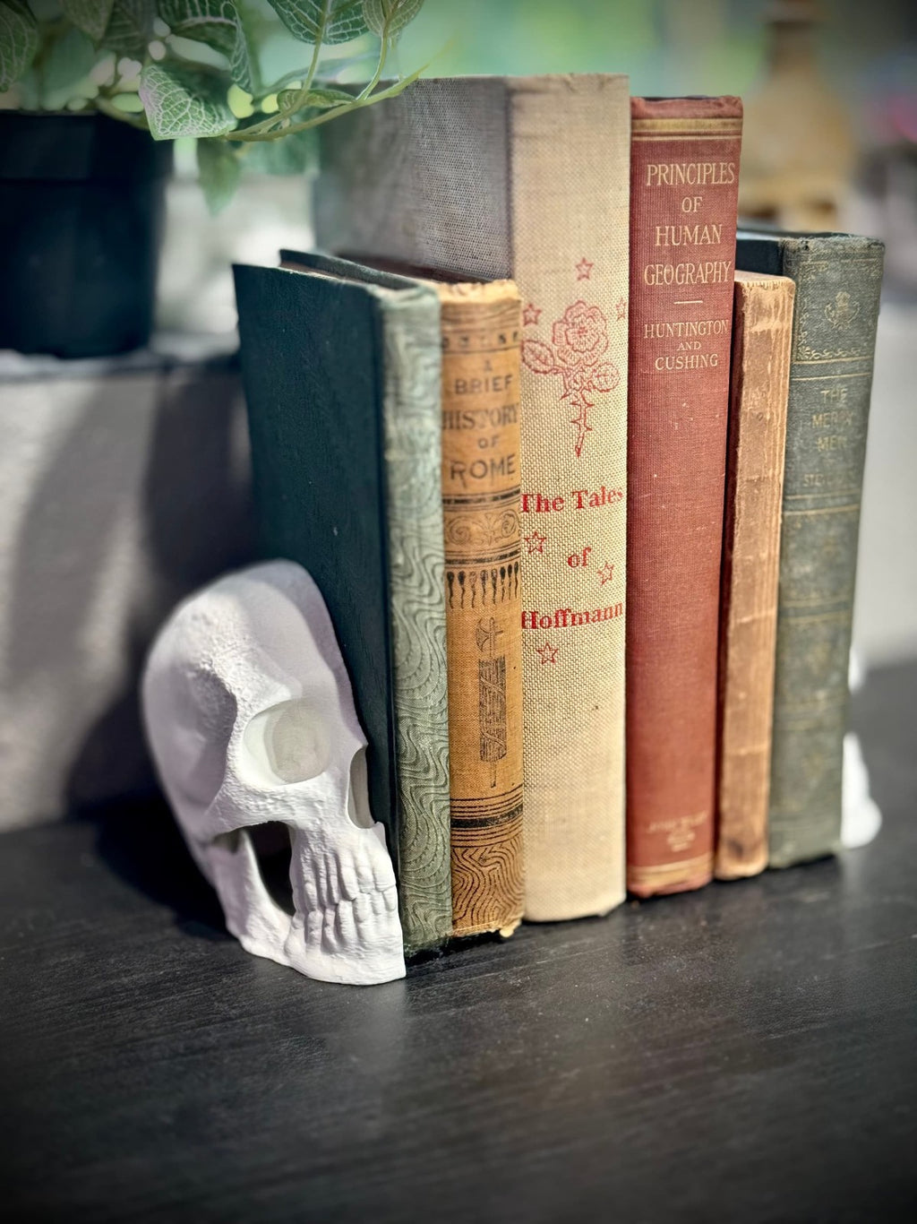 Split Skull Bookends - Book Shelf Decorations - Book Holders (unpainted)